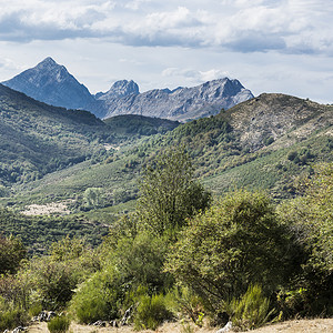 坎塔布连山脉西班牙美丽的风景坎塔布里亚山脉的景色背景