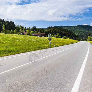 覆盖森林牧场和草原的道路图片