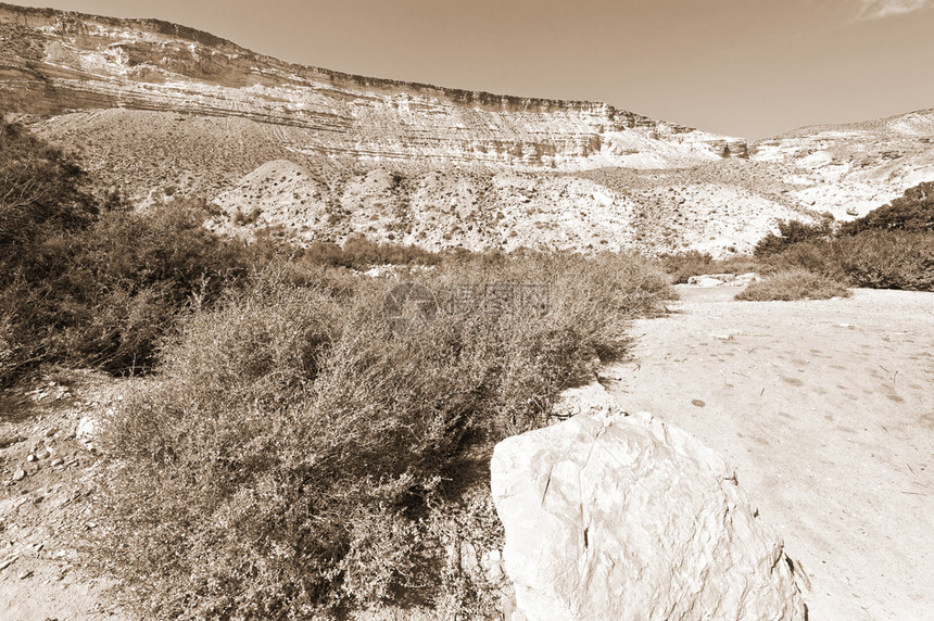 以色列内盖夫沙漠的洛基山丘以色列南部沙漠中岩层令人呼吸的风景图片