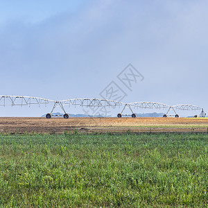 喷水灌溉系统为葡萄牙的田地浇水图片