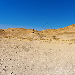 以色列内盖夫沙漠岩石山丘的忧郁和空虚中东令人窒息的景观和质背景图片
