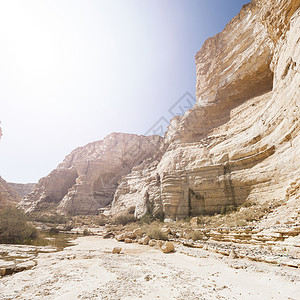 日出时以色列内盖夫沙漠的洛基山丘以色列南部沙漠中岩层令人窒息的景色背景图片