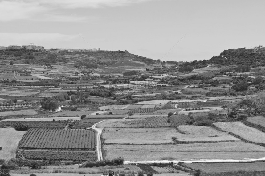 在麦芽岛戈佐有田地和葡萄园的农村景观图片