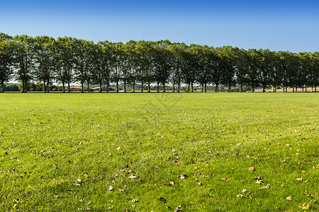 通过法国的一片广阔草原通往农村豪宅的沙小巷高清图片