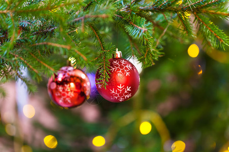 Xmas背景室内圣诞树枝上两个红球和雪花图案的红球图片