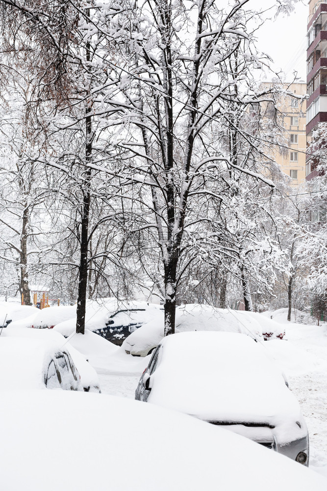 位于莫斯科市内下雪的住宅区公寓楼附近的雪覆盖了汽车图片