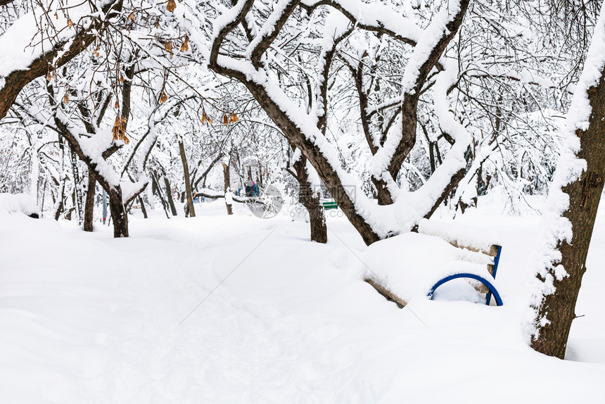 在冬季降雪的莫斯科市内雪覆盖了的公共城市花园的徒步走道图片