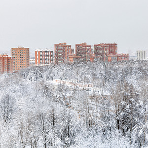 位于莫斯科市的蒂米里亚泽夫斯基公园和民宅图片