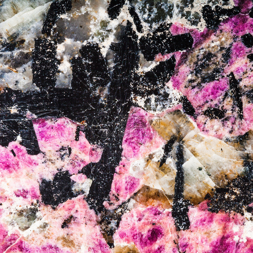 天然粉红色udioalyte矿物质其底部为天然粉红色eudialyte矿物质其中在石卢加里特岩石中含有黑乙基水晶图片