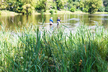 学术大池塘白天自然高清图片