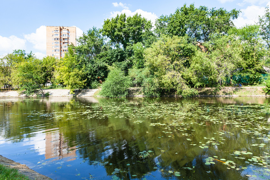 夏季莫斯科市蒂米里亚泽夫斯基公园大花园BigAcademicheskiy池塘附近的扎本卡河图片