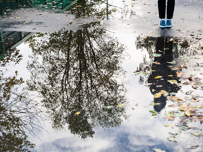 秋季城市风景靠近雨坑的青少年在城市公路上树反射重点是水坑中的反射图片