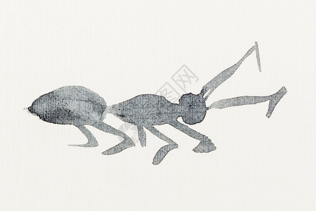在奶油纸上手工绘画用黑水颜色绘制的蚂蚁草图图片