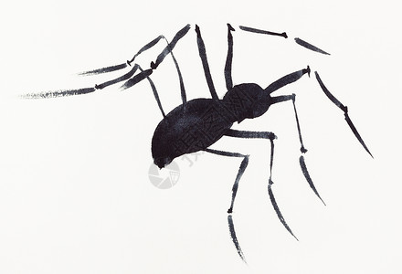 在奶油纸上手工绘画用黑水颜色绘制的一只蜘蛛图片