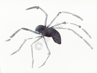 奶油纸上手工绘画黑水彩的运行蜘蛛图片