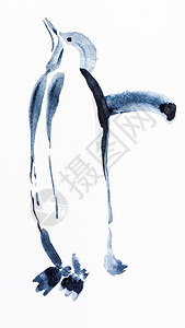 会画画的企鹅白纸上手工绘画用黑水彩的企鹅鸟背景
