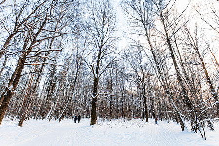 冬日暮色中白雪覆盖的城市公园在冬天的暮色中图片