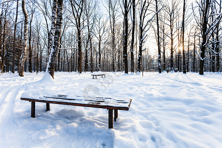 冬日暮色中的城市公园雪景在冬天的暮色中图片