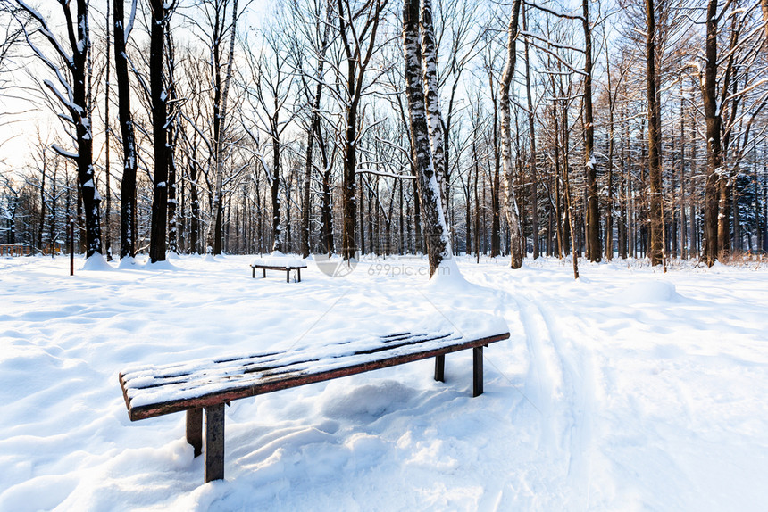 冬日暮色中城市公园里白雪覆盖的长凳在冬天的暮色中图片