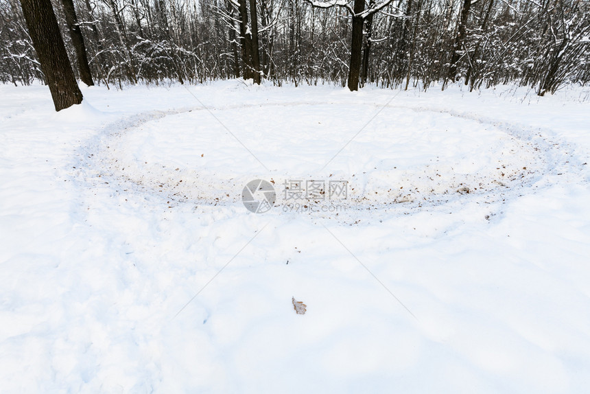 在冬日的暮色中橡树林的草地上雪地里踩着一条小径在冬天的暮色中图片