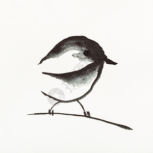 素描树枝上的鸟乳脂状墨水高清图片