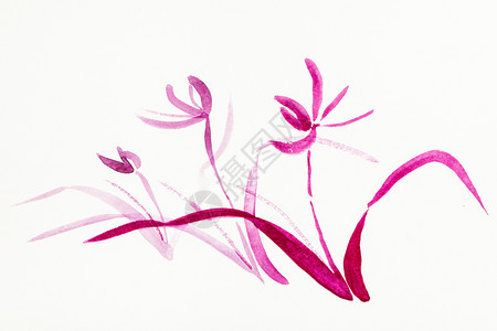 以水彩油漆suibokuga风格用水彩色涂料绘制培训用shumiesuibukuga方式绘制的训练紫兰花是用奶油纸手工绘制的背景图片
