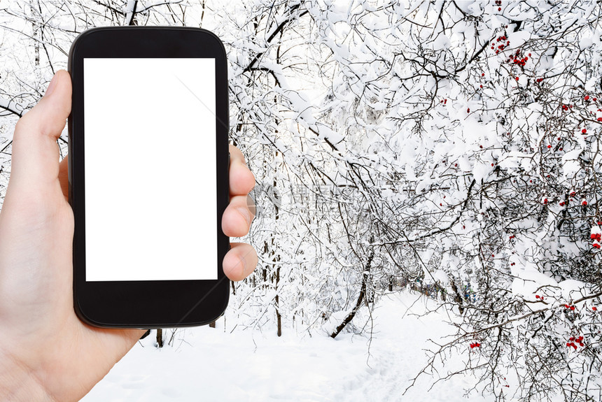 旅行概念莫斯科市城公园冬季滑雪人行的旅游照片用智能手机拍摄空白剪切屏广告位置图片