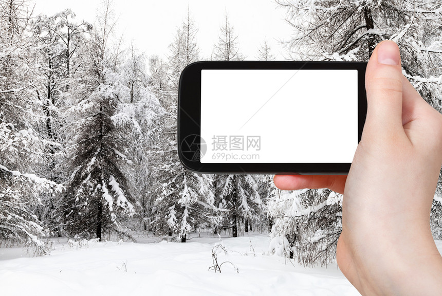 旅行概念旅游照片莫斯科市城公园冬季用智能手机拍摄的雪壁和电锯树旅游照片带空白广告位置的剪切屏图片