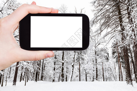冬天森林宽屏旅行概念莫斯科市公园冬季城雪覆盖草地的旅游照片用智能手机拍摄空白剪切屏广告位置背景