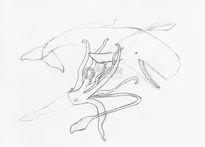 白纸上用黑铅笔手工绘制的章鱼和小白鼠草图之战图片
