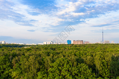 莫斯科市夏季下午阳光照亮的绿色森林和城市房屋高清图片