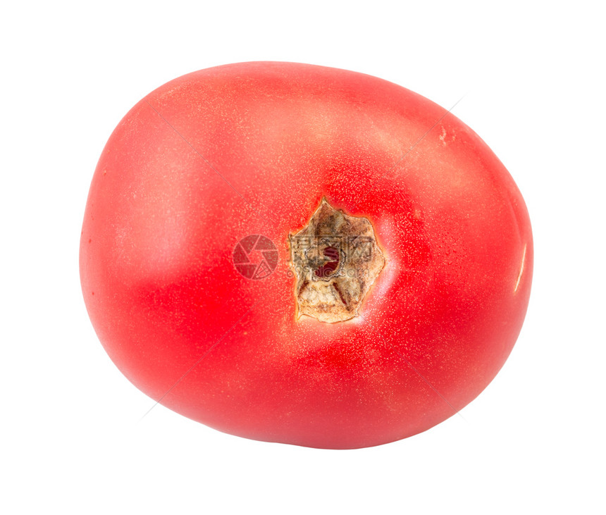 白底孤立的天然粉红番茄图片