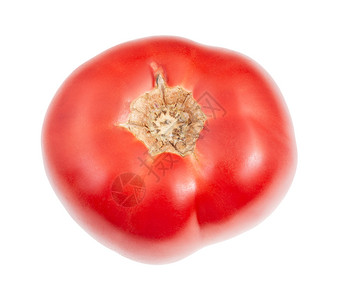 白背景孤立的番茄背景图片
