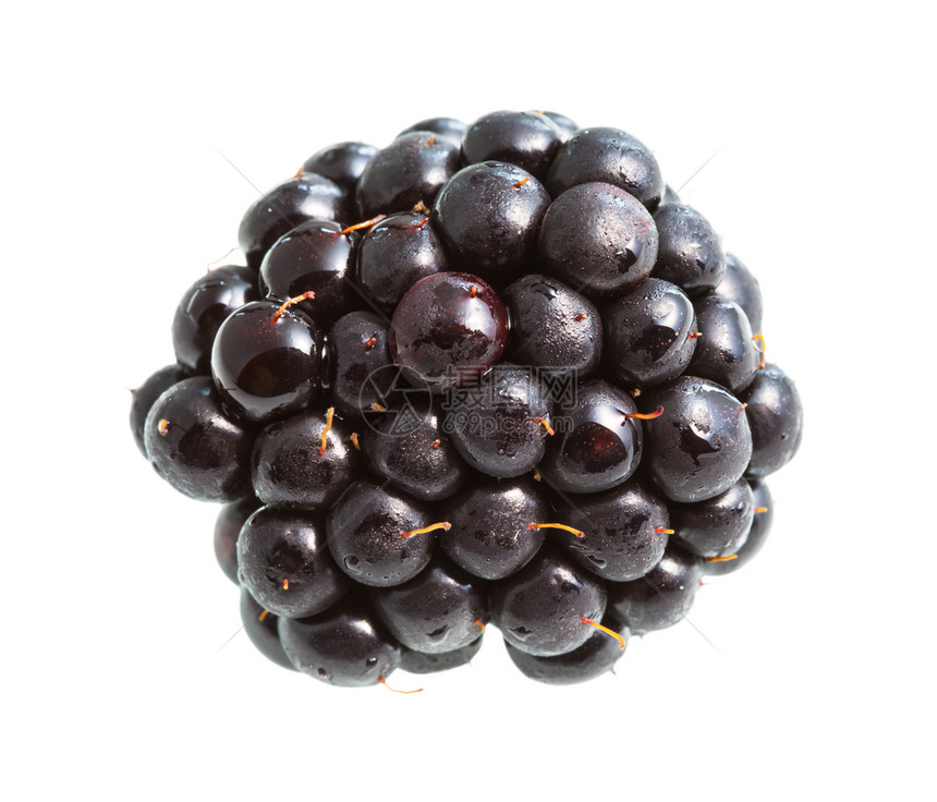 白色背景上隔离的新鲜黑莓图片