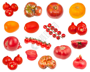 白背景上分离的很多新鲜西红柿图片