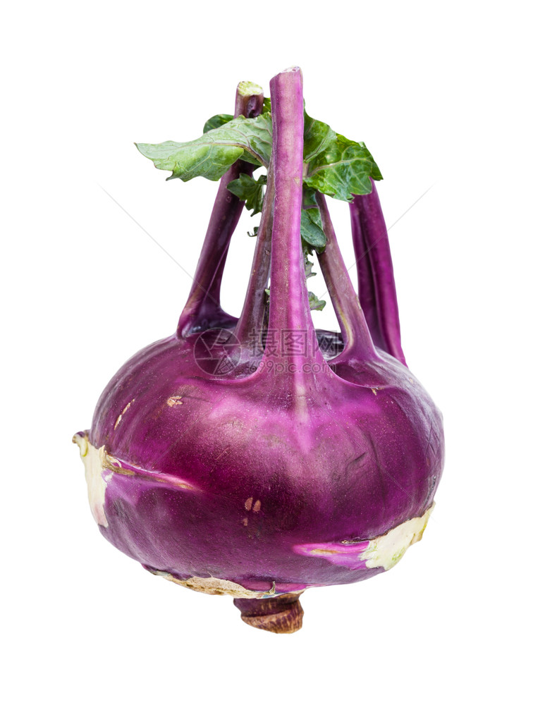 白底绝缘的紫色高拉比卷心菜的成熟灯泡图片