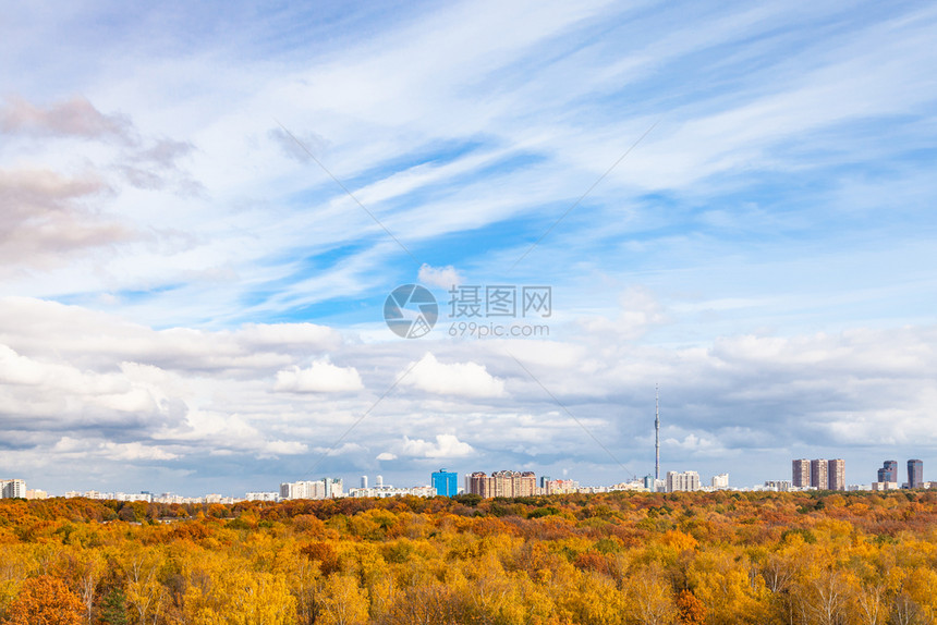 在阳光明媚的秋天黄城市公园上满天白云的蓝色图片