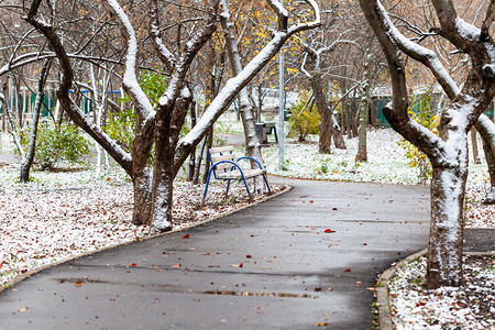 秋天在城市公园的长椅草坪和湿道上第一场雪图片