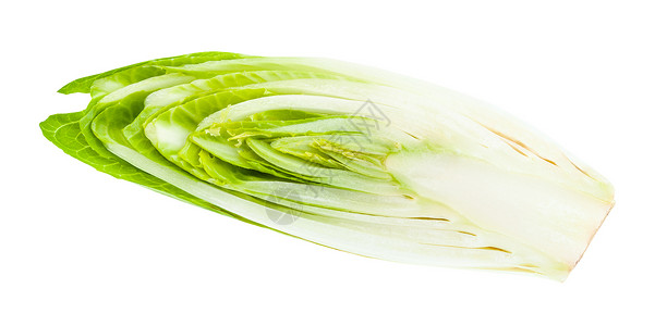 比利时菊苣自然的食物高清图片