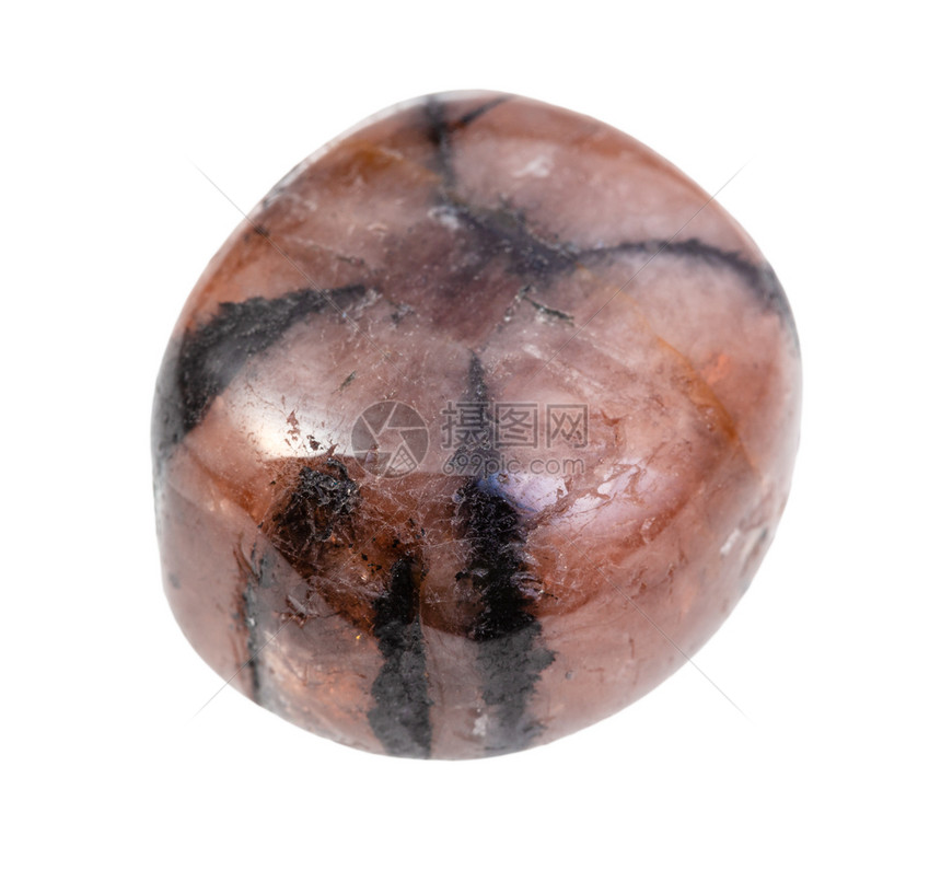 地质采集的天然矿物样本封存白色背景上孤立的抛光Chiastolite宝石图片