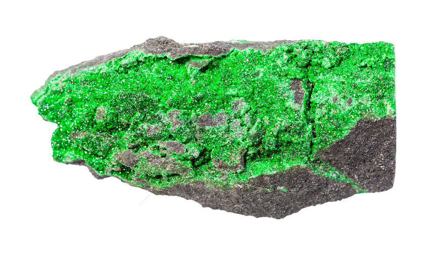 地质采集中自然矿物样本的封存白底孤立岩石上的Uvarovite晶体绿色garnet岩石上的Uvarovite晶体绿色garnet图片