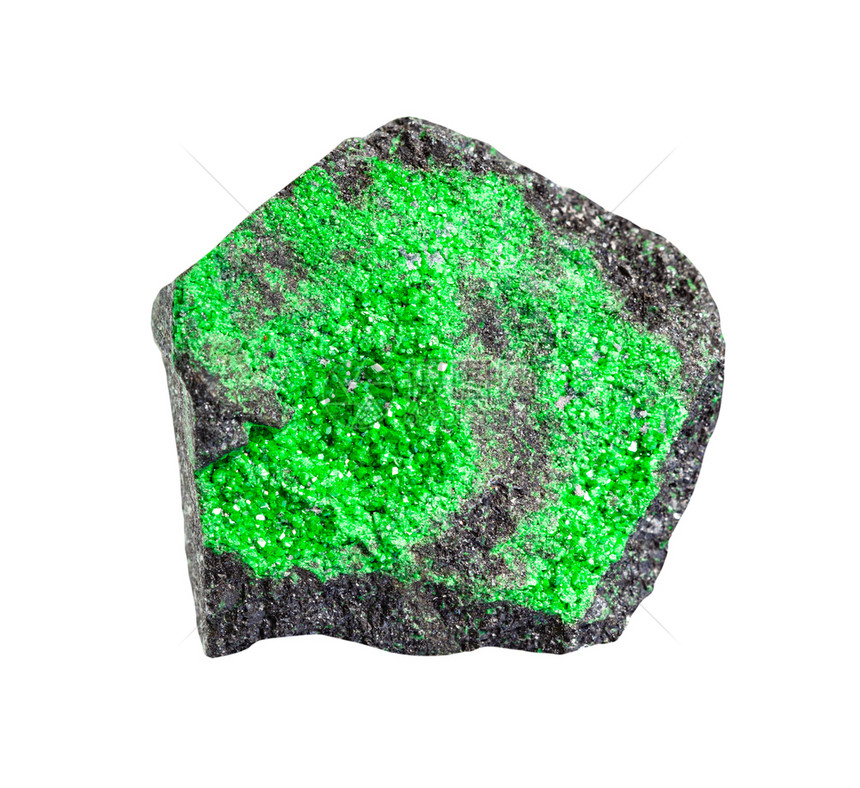 地质采集中自然矿物样本的查封在白色背景孤立的岩石上对Uvarovite绿色garnet进行钻探图片