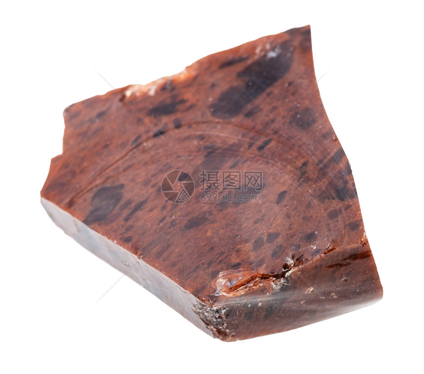 地质采集的自然矿物样本查封白色背景的野生红树林奥比锡岩图片