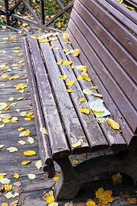 秋天在市公园用黄色落叶遮盖卫生面罩的旧木板图片