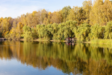 阳光明媚的秋天城市公园中黄树林的多彩池塘图片