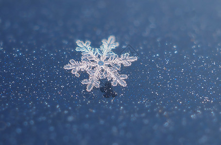 黑暗背景上的雪花高清图片