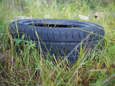 草地上的旧车胎图片
