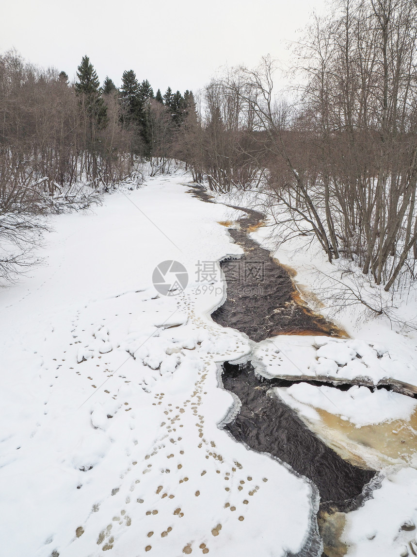 雪中鸭子的痕迹河岸图片