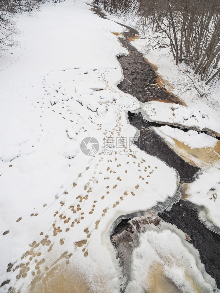 雪中鸭子的痕迹河岸图片