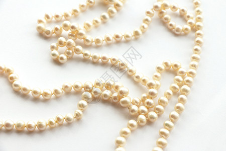 白色的浅褐底珍珠一种背景图片